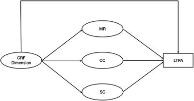 Relationship Between Cancer Related Fatigue, Physical Activity Related Health Competence, and Leisure Time Physical Activity in Cancer Patients and Survivors